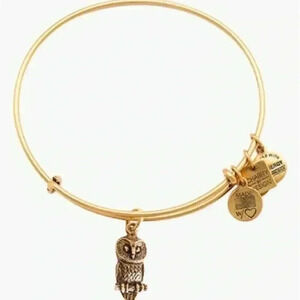 Alex and Ani Owl Gold Bracelet